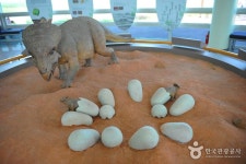 화성 가볼 만한 곳, 자연과 문화가 어우러진 겨울 산책