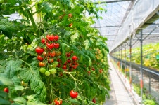 포천 가볼 만한 곳, 오감 만족 체험과 신선한 미식이 어우러진 길