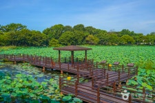 진주 가볼 만한 곳, 고즈넉한 연못과 푸른 숲이 어우러진 풍경
