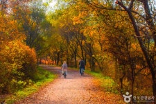 창녕 가볼 만한 곳 베스트, 낙동강 따라 떠나는 여행