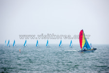 겨울 바다의 여유를 담은 보령 가볼 만한 곳