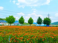 영양 가볼 만한 곳, 별빛과 계곡이 어우러진 힐링 여행