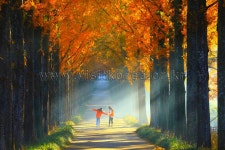 나주 가볼 만한 곳, 영산강 따라 만나는 역사와 자연 여행