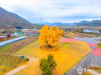 대둔산과 서대산 절경을 만나는 금산 가볼 만한 곳