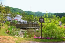 여주 가볼 만한 곳 추천, 알파카 농장과 도자 문화 여행