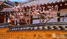 낙동강 산책과 팔공산 풍경이 있는 칠곡 가볼 만한 곳