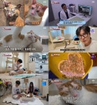 TV 동물농장 신성과 산불 구조묘 나비의 특별한 인연 눈길