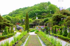 봄에 찾기 좋은 청주 가볼 만한 곳