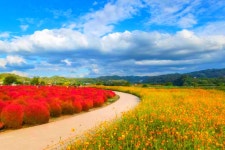 자연의 숨결을 따라 걷는, 연천 가볼 만한 곳 여행