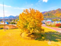 금산 가볼 만한 곳, 칠백의총부터 출렁다리까지