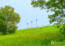 역사와 힐링이 공존하는 도시, 익산 가볼 만한 곳