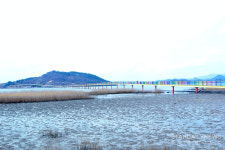 [S포토] 고흥 1박 2일, 1.32km 길이의 우도 레인보우교 (전남 고흥 팸투어)