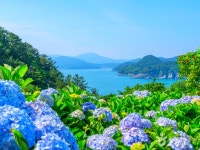 해변 따라 떠나는 힐링 여행, 거제 가볼 만한 곳