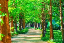 호수와 숲, 그리고 예술의 만남, 고양 가볼 만한 곳