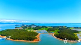 여행 고수들이 추천하는 보령 가볼 만한 곳