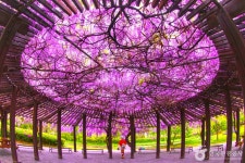 담양 가볼 만한 곳, 대숲과 온천·한옥카페까지 완벽 가이드