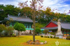 의정부 가볼 만한 곳, 망월사부터 온실 카페까지 완벽 코스