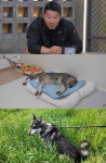 '개와 늑대의 시간2' 유기견 산이를 위한 '1억 개집' 사연 공개