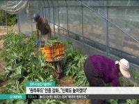 원주푸드 인증 강화..신뢰도 높이겠다