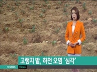 고랭지 밭, 하천 오염 심각