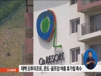 태백 오투리조트 콘도.골프장 여름 휴가철 특수