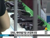 강원도, 예비마을기업 5개 업체 선정
