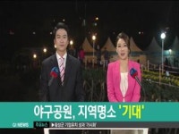 야구공원, 지역명소 기대