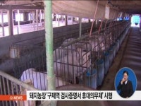 돼지농장 구제역 검사증명서 휴대 의무화