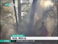 강릉 연곡 산불..임야 1헥타르 소실