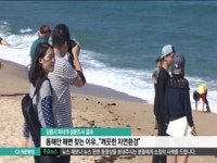 동해안 해변 인기 비결은.. 깨끗한 자연환경