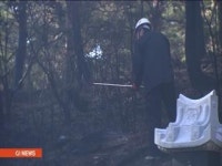 강릉 연곡면 산불.. 0.03ha 소실