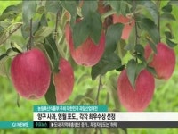 강원도, 과일 재배 적지로 우뚝