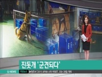 진돗개 군견되다