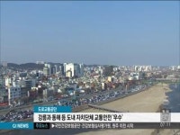 강릉과 동해 등 도내 자치단체 교통안전 우수