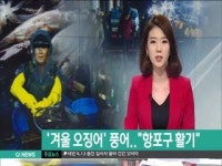 겨울 오징어 풍어..항포구 활기