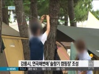 강릉 연곡해변에 솔향기 캠핑장 조성
