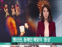 병신년, 동해안 해맞이 행사 풍성