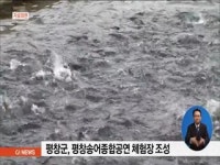 평창군, 평창송어종합공연 체험장 조성