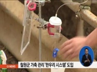 철원군 가축 관리 한우리 시스템 도입