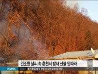 건조한 날씨 속 춘천서 밤새 산불 잇따라