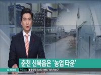 춘천 신북읍은 농업 타운