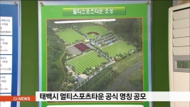 태백시 멀티스포츠타운 공식 명칭 공모