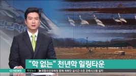 학 없는 천년학 힐링타운