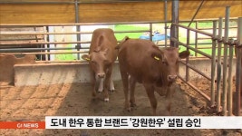 도내 한우 통합브랜드 강원한우 설립 승인