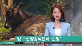 양구 산양증식센터 순항