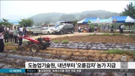 도농업기술원, 내년부터 오륜감자 농가 보급