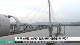 춘천 소양강스카이워크.꿈자람물정원 '인기'