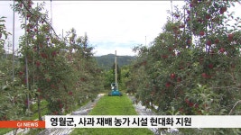 영월군, 사과 재배 농가 시설 현대화 지원