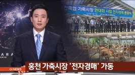 홍천 가축시장 전자경매 가동