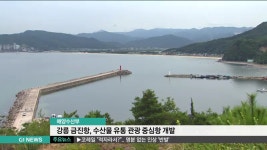 강릉 금진항, 수산물 유통 관광 중심항 개발